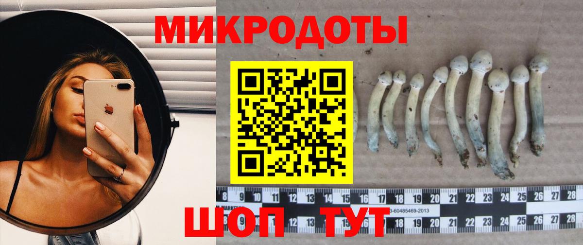Галлюциногенные грибы Cubensis  Галлюциногенные грибы Psilocybe  Кондопога  Вход с VPN 