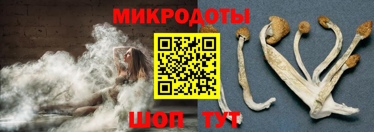 Галлюциногенные грибы Psilocybine cubensis Кондопога